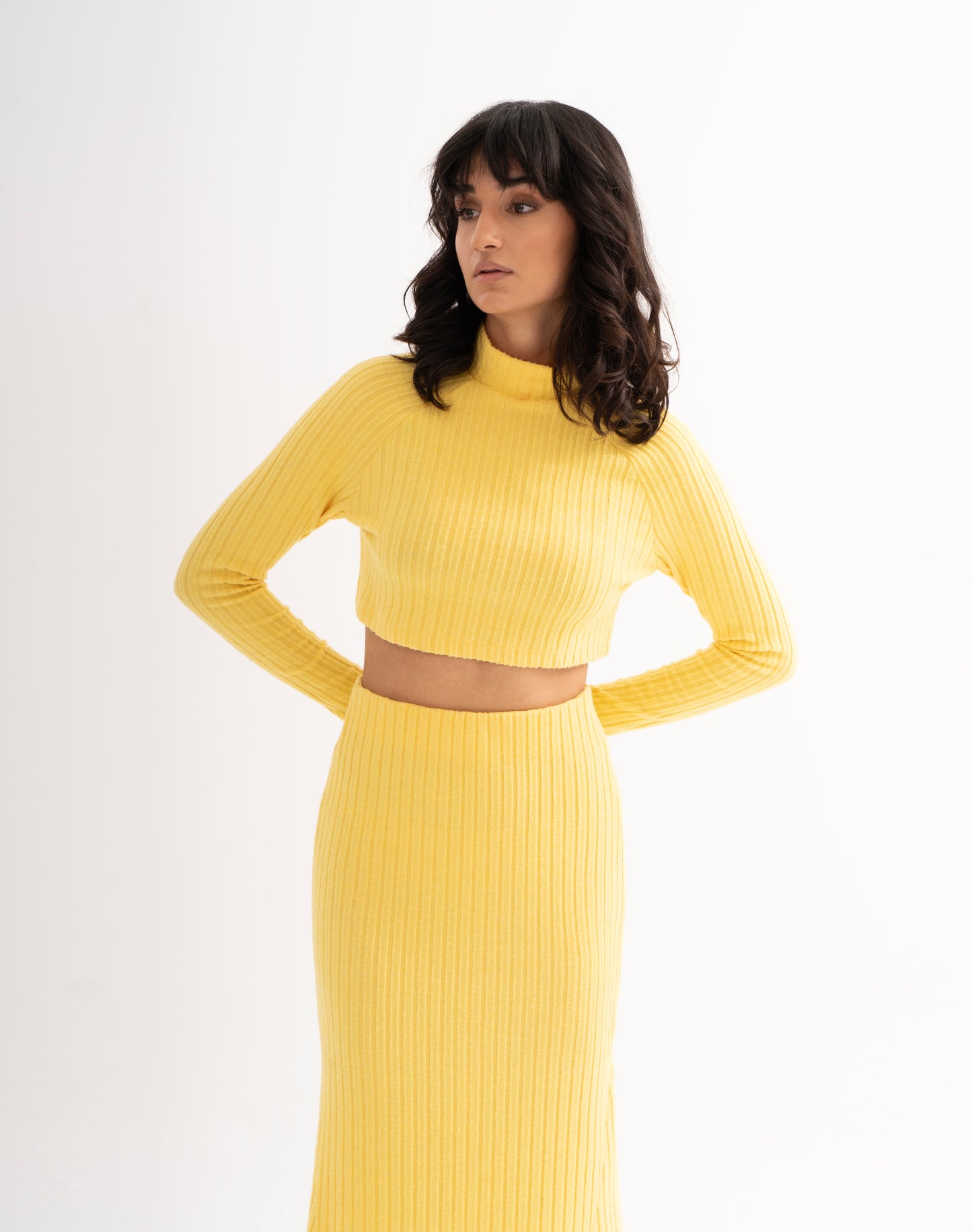 LEMON TURTLE NECK RAGLAN CROP TOP